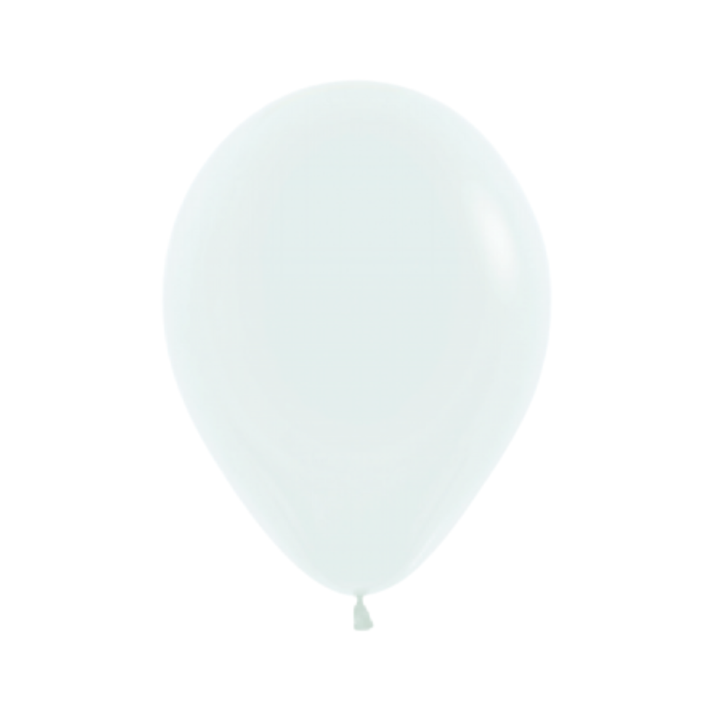 Sensorische ballonbal – Nature